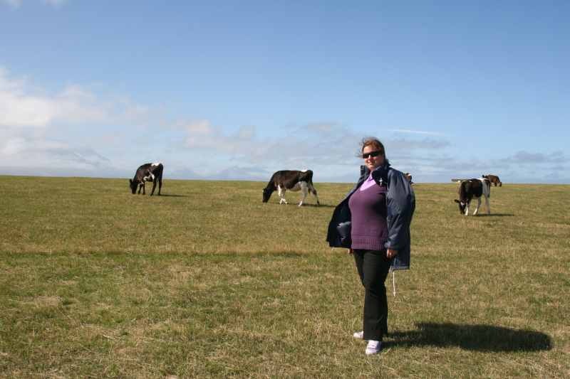 Nieuw-Zeeland 2011 - 1134